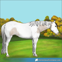 Horse Color:Brown Roan Dun Splash Tobiano