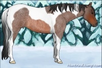 Horse Color:Bay Roan Tobiano