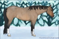 Horse Color:Bay Roan Dun