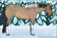 Horse Color:Bay Roan Dun Tobiano
