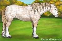 Horse Color:Chestnut Ice Pearl Splash  Brindle