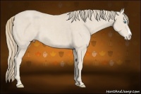 Horse Color:Smoky Creme Splash  Brindle
