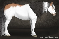 Horse Color:Bay Splash Frame