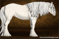 Horse Color:Cremello Splash Brindle