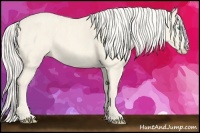 Horse Color:Cremello Splash  Brindle