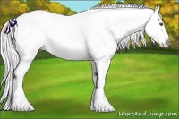 Horse Color:Cremello Chinchilla Dun Splash Brindle