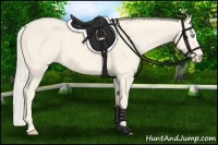 Horse Color:Cremello Splash Brindle