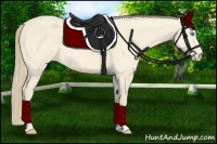 Horse Color:Perlino 