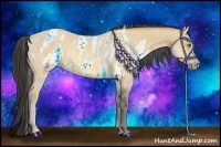 Horse Color:ERROR: UNKNOWN ANOMALY Brindle