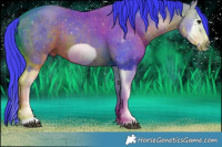 Horse Color:Watercolor White Spotted Brown Splash Frame 