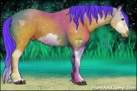 Horse Color:Watercolor White Spotted Brown Splash Frame 