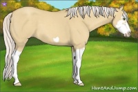 Horse Color:Silver Classic Champagne Dun Splash Frame 