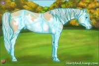 Horse Color:Thunderstruck Silver Classic Champagne Dun Splash Frame