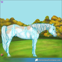 Horse Color:Thunderstruck Silver Classic Champagne Dun Splash Frame 