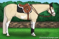 Horse Color:Silver Classic Champagne Dun Splash Frame 