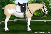 Horse Color:Silver Classic Champagne Dun Splash Frame 