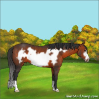 Horse Color:Brown Frame 