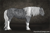 Horse Color:Silver Black Chinchilla Tobiano  Brindle