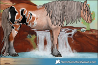 Horse Color:ERROR: UNKNOWN ANOMALY