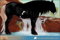 Horse Color:ERROR: UNKNOWN ANOMALY