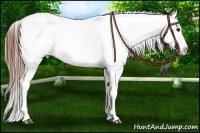 Horse Color:Grullo Varnish 