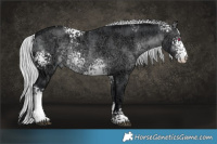 Horse Color:White Spotted Silver Brown Chinchilla Ice Sabino 