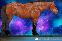 Horse Color:ERROR: UNKNOWN ANOMALY