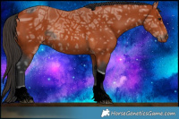 Horse Color:ERROR: UNKNOWN ANOMALY