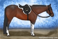 Horse Color:Bay Tobiano 