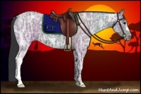 Horse Color:Black Ice 