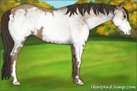 Horse Color:White Spotted Classic Champagne Frame