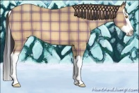 Horse Color:Plaid  Amber Champagne Splash 