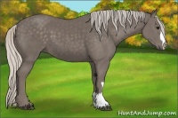 Horse Color:Silver Black 