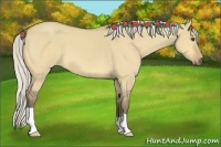 Horse Color:Silver Buckskin Roan Dun 