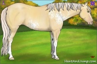 Horse Color:White Spotted Silver Amber Champagne Dun 