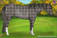 Horse Color:Plaid Black Rabicano