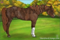 Horse Color:Chestnut Ice Rabicano