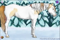Horse Color:Plaid Gold Champagne Roan Dun Splash Tobiano Rabicano