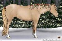 Horse Color:Chestnut Pearl