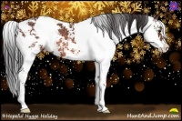 Horse Color:Bay Sabino Rabicano