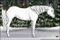 Horse Color:Silver Classic Champagne Pearl Dun Splash Frame Appaloosa