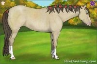 Horse Color:Classic Cream Champagne Dun 