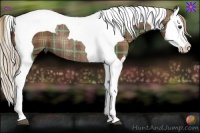 Horse Color:Plaid  Chestnut Splash Tobiano Rabicano 