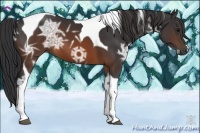 Horse Color:Brown Ice Tobiano 