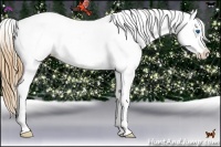 Horse Color:White Spotted Grullo Pearl Sabino Splash Varnish Rabicano 