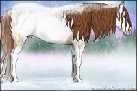 Horse Color:Red Ice Roan Splash Frame Rabicano