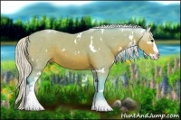 Horse Color:Watercolor White Spotted Silver Brown Sabino Splash 