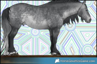 Horse Color:Brown Chinchilla Rabicano Brindle