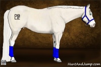 Horse Color:Cremello Sabino  Brindle