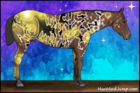 Horse Color:ERROR: UNKNOWN ANOMALY Brindle